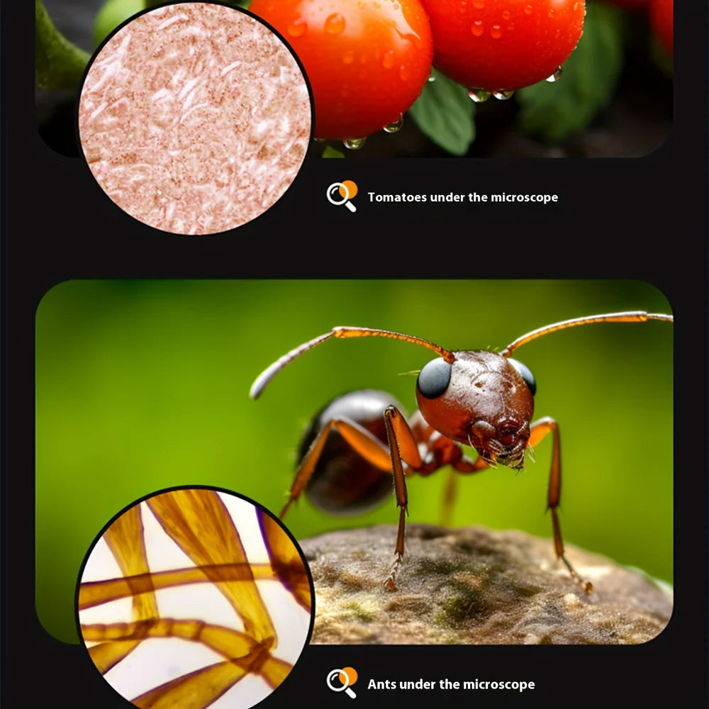 Mini Microscope with LED Light for Kids | Portable Science Toy