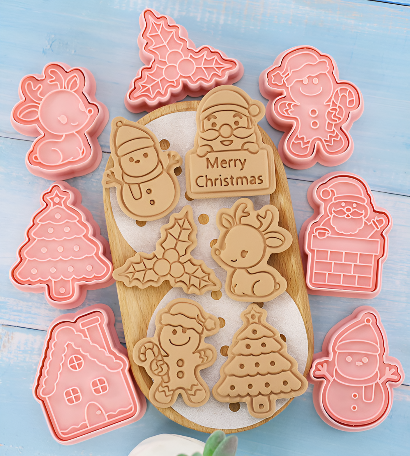 Christmas Biscuit Mold