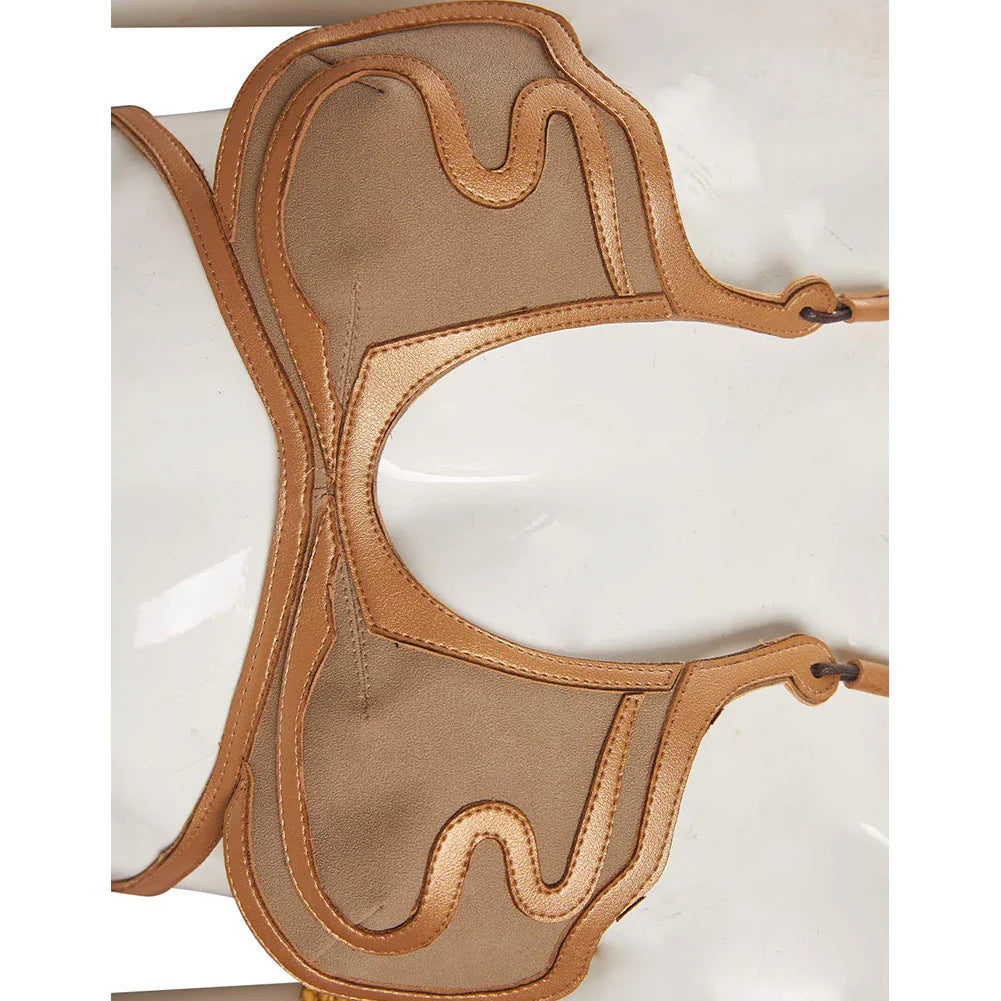 Princess Leia Slave Metal Bikini Cosplay Costume with Wig